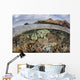 Beautiful Reef Grows Komodo Wall Decal Design 1