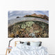 Beautiful Reef Grows Komodo Wall Decal Design 1