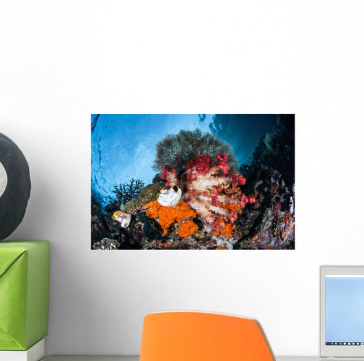 Colorful Soft Corals Grow Wall Decal Design 4