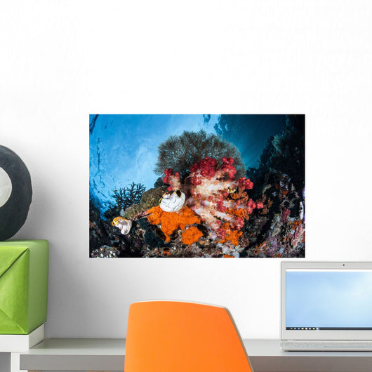 Colorful Soft Corals Grow Wall Decal Design 4