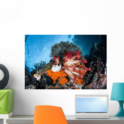 Colorful Soft Corals Grow Wall Decal Design 4