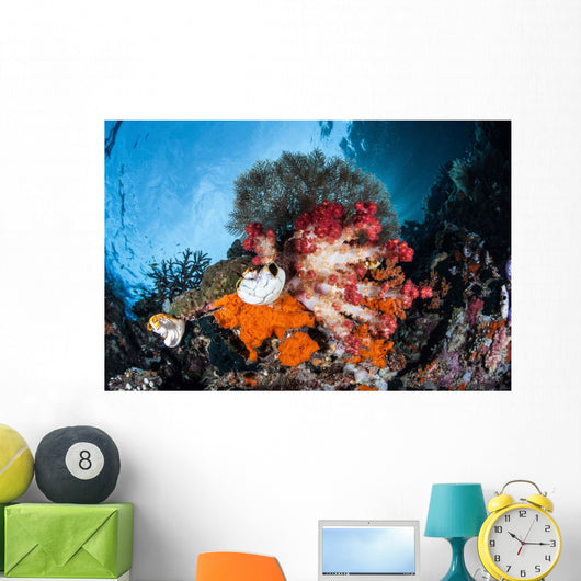 Colorful Soft Corals Grow Wall Decal Design 4