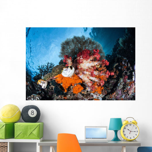 Colorful Soft Corals Grow Wall Decal Design 4