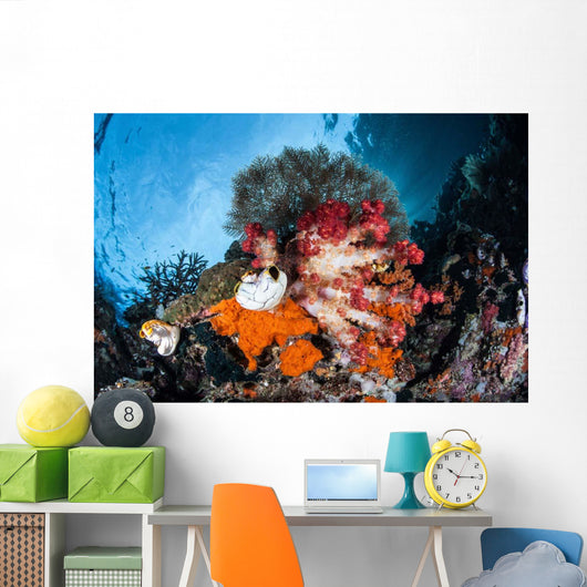 Colorful Soft Corals Grow Wall Decal Design 4