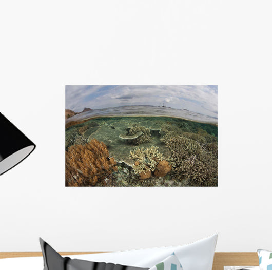 Beautiful Reef Grows Komodo Wall Decal Design 2
