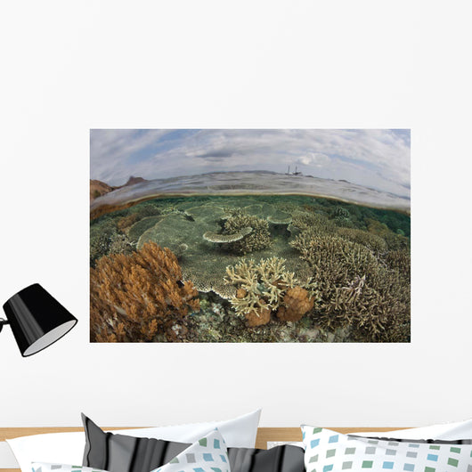 Beautiful Reef Grows Komodo Wall Decal Design 2