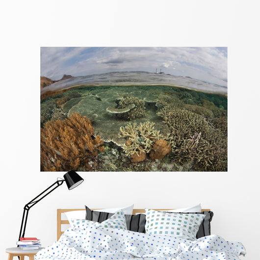Beautiful Reef Grows Komodo Wall Decal Design 2