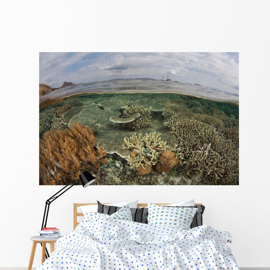 Beautiful Reef Grows Komodo Wall Decal Design 2