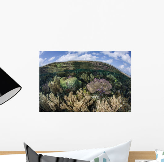 Gorgonians and Reef-building Corals Wall Decal Design 7