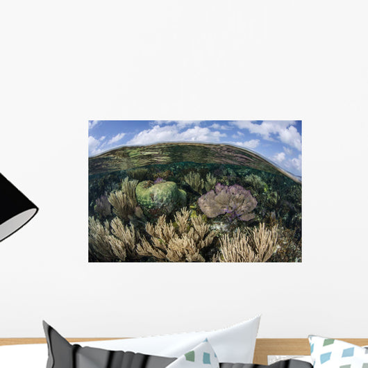 Gorgonians and Reef-building Corals Wall Decal Design 7