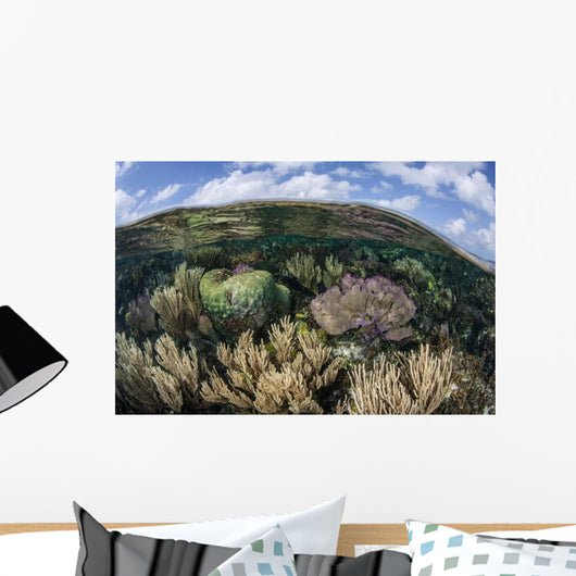 Gorgonians and Reef-building Corals Wall Decal Design 7