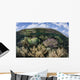 Gorgonians and Reef-building Corals Wall Decal Design 7