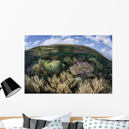 Gorgonians and Reef-building Corals Wall Decal Design 7