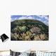 Gorgonians and Reef-building Corals Wall Decal Design 7