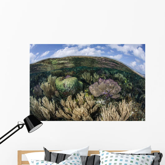 Gorgonians and Reef-building Corals Wall Decal Design 7