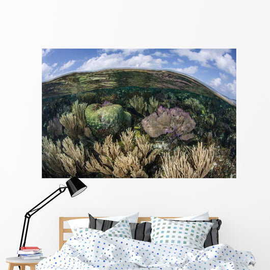 Gorgonians and Reef-building Corals Wall Decal Design 7
