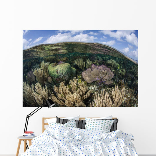 Gorgonians and Reef-building Corals Wall Decal Design 7