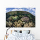 Gorgonians and Reef-building Corals Wall Decal Design 7
