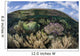 Gorgonians and Reef-building Corals Wall Decal Design 7