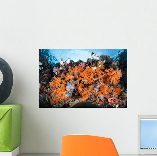 Colorful Soft Corals Grow Wall Decal Design 3