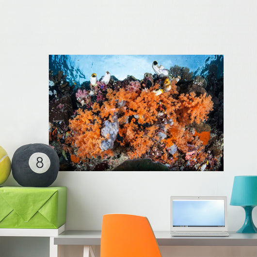 Colorful Soft Corals Grow Wall Decal Design 3