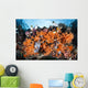 Colorful Soft Corals Grow Wall Decal Design 3