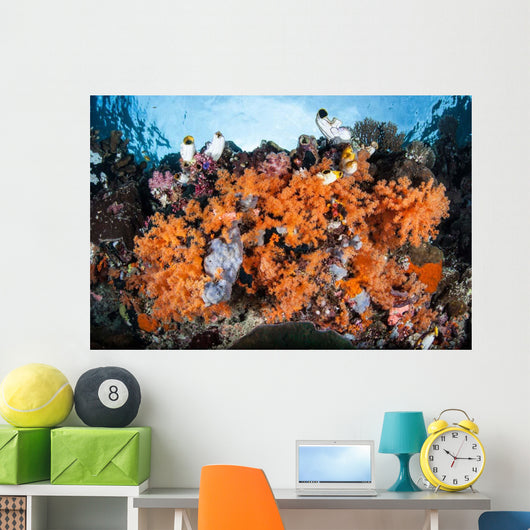 Colorful Soft Corals Grow Wall Decal Design 3