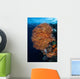 Colorful Gorgonian Grows Reef Wall Decal
