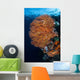 Colorful Gorgonian Grows Reef Wall Decal