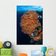 Colorful Gorgonian Grows Reef Wall Decal