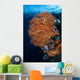 Colorful Gorgonian Grows Reef Wall Decal