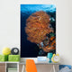 Colorful Gorgonian Grows Reef Wall Decal