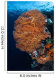 Colorful Gorgonian Grows Reef Wall Decal