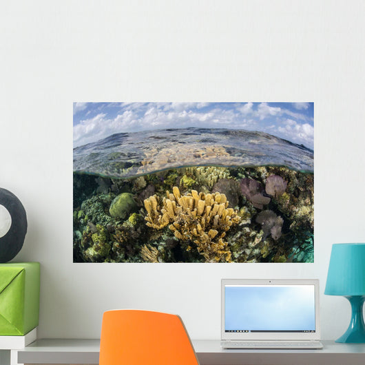 Gorgonians and Reef-building Corals Wall Decal Design 6