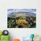 Gorgonians and Reef-building Corals Wall Decal Design 6