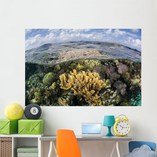 Gorgonians and Reef-building Corals Wall Decal Design 6