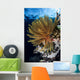 Colorful Crinoid Clings to Wall Decal Design 2