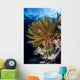 Colorful Crinoid Clings to Wall Decal Design 2