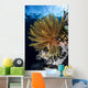 Colorful Crinoid Clings to Wall Decal Design 2