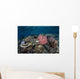 Diverse Array Corals Grow Wall Decal Design 3