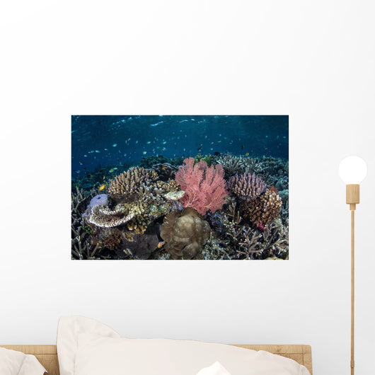 Diverse Array Corals Grow Wall Decal Design 3