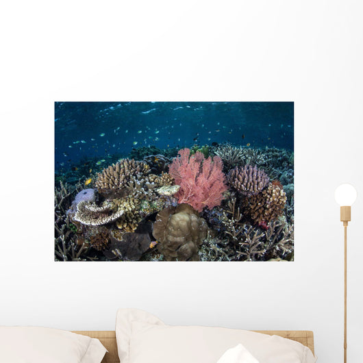 Diverse Array Corals Grow Wall Decal Design 3