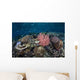 Diverse Array Corals Grow Wall Decal Design 3