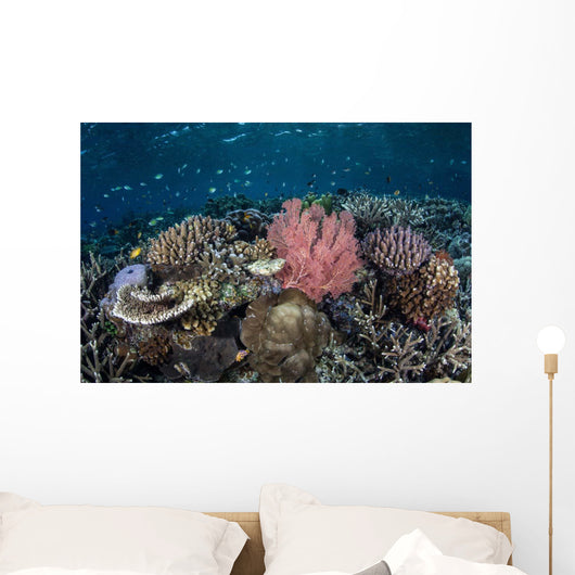 Diverse Array Corals Grow Wall Decal Design 3