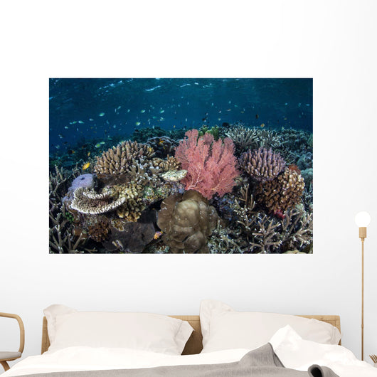 Diverse Array Corals Grow Wall Decal Design 3