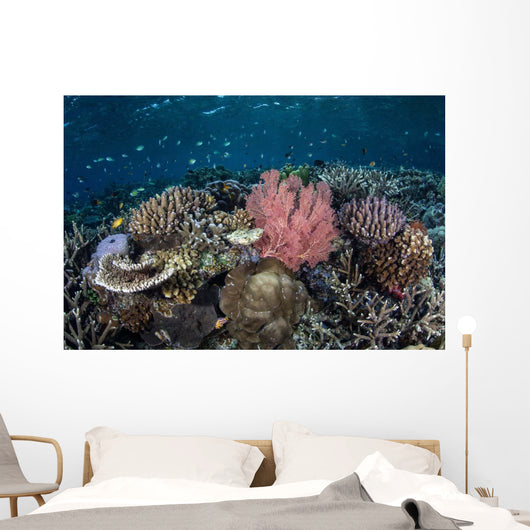 Diverse Array Corals Grow Wall Decal Design 3