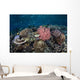 Diverse Array Corals Grow Wall Decal Design 3