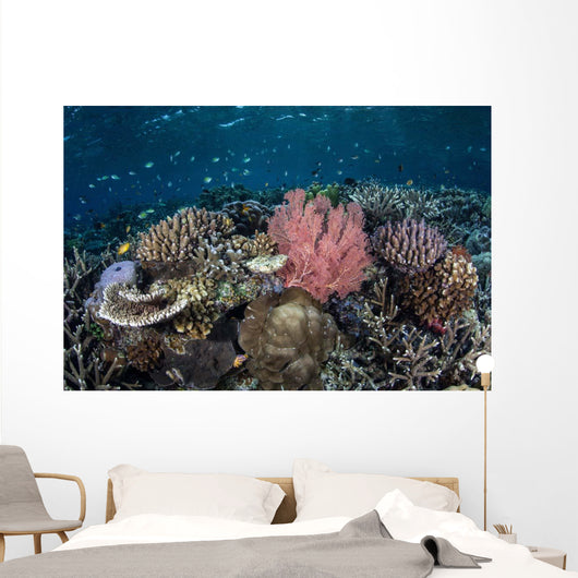 Diverse Array Corals Grow Wall Decal Design 3