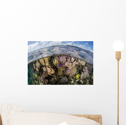 Gorgonians and Reef-building Corals Wall Decal Design 5