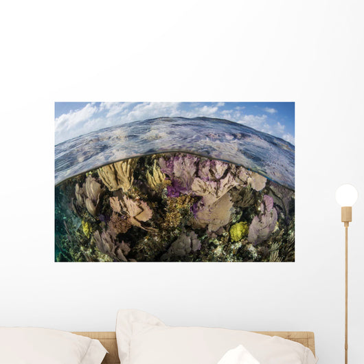 Gorgonians and Reef-building Corals Wall Decal Design 5